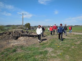 baladepique-nique2017dbut16