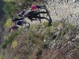 baladepique-nique2017dbut2