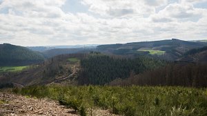 10042016-samre-2903-1-2