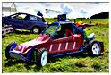 autocross_hives_2014 (16)