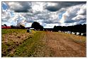 autocross_hives_2014 (104)