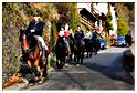 balade_pndo_2014 (60)