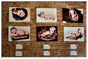 bam_2014 (31)