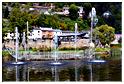 bam_2014 (72)