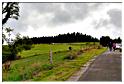 bg60e_siortho (9)