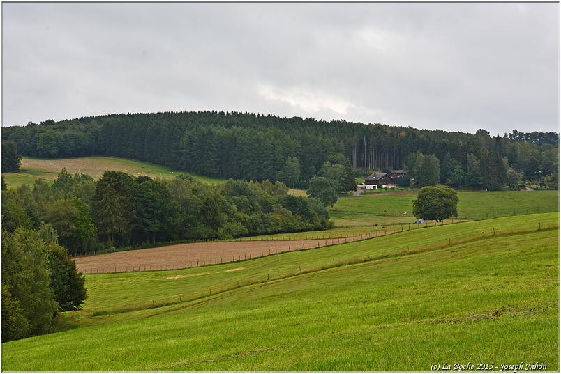bg60e_siortho (16)
