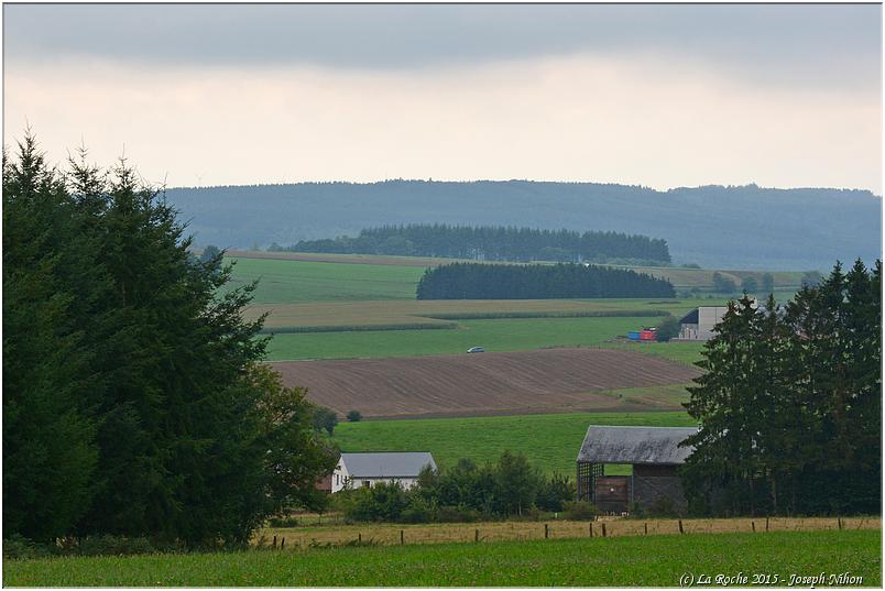bg60e_siortho (31)