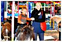 bresiliens_2012 (6)
