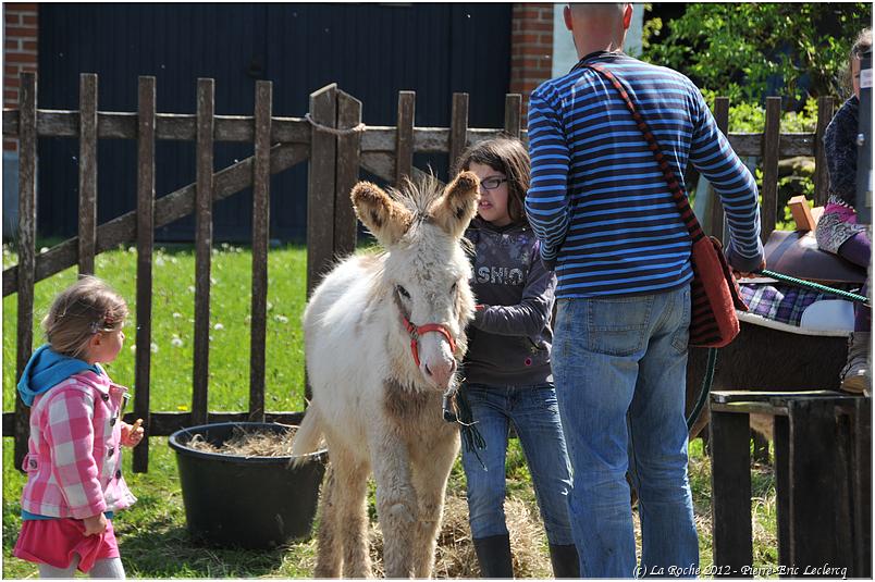 brocante_beausaint_2012 (23)