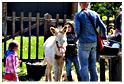 brocante_beausaint_2012 (23)