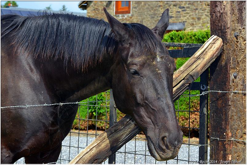 brocante_beausaint_2014 (72)