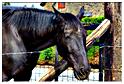 brocante_beausaint_2014 (72)