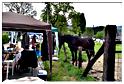 brocante_beausaint_2015 (64)