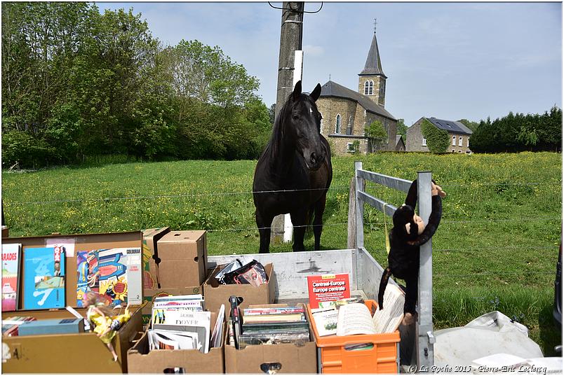 brocante_beausaint_2015 (70)