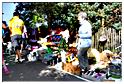 brocante_berismenil_2012 (99)