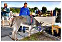 brocante_berismenil_2013 (14)