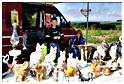 brocante_berismenil_2013 (62)