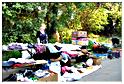 brocante_buisson_2011 (5)
