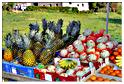 brocante_buisson_2011 (22)
