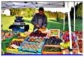 brocante_buisson_2011 (23)