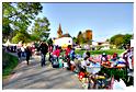 brocante_buisson_2011 (28) brocante_buisson_2011 (28)