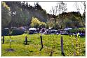brocante_buisson_2011 (56)