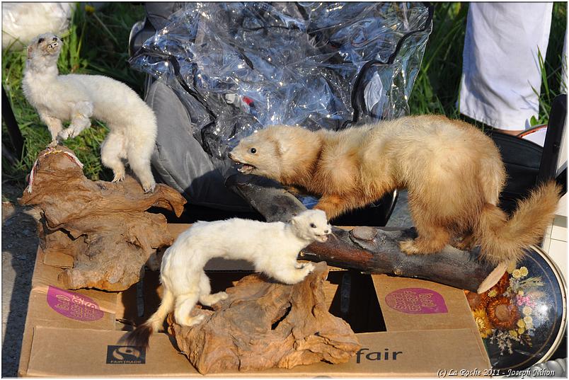 brocante_buisson_2011 (95)