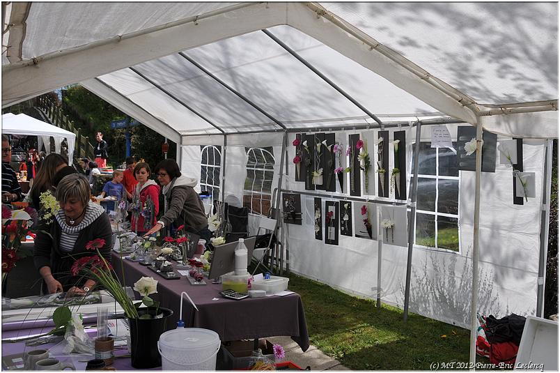 brocante_buisson_2012 (24)