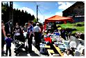 brocante_buisson_2012 (32)