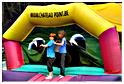 brocante_buisson_2012 (42)