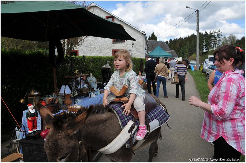brocante_buisson_2012 (43)