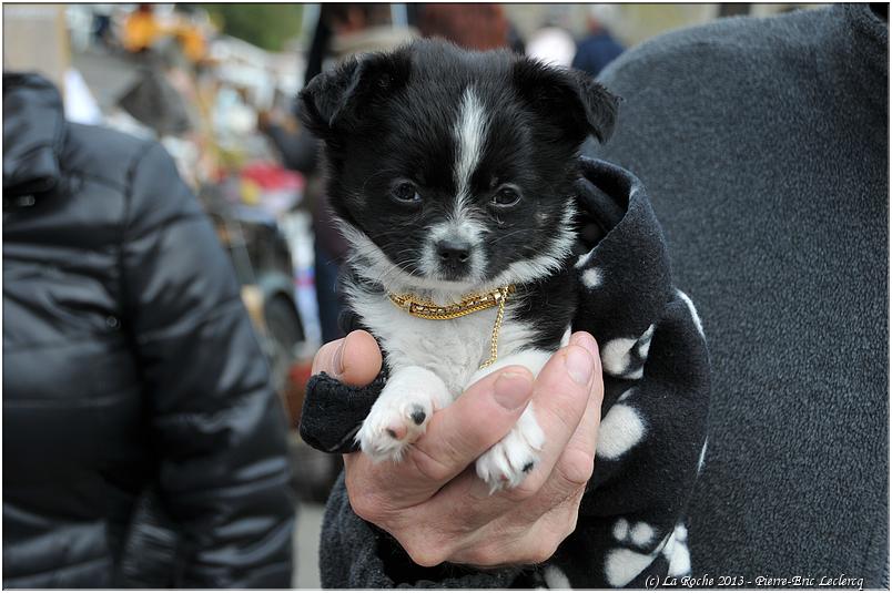 brocante_buisson_2013 (21)