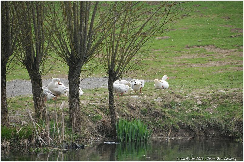 brocante_buisson_2013 (84)