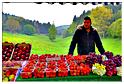brocante_buisson_2014 (71)