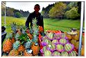 brocante_buisson_2014 (105)