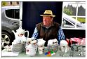 brocante_buisson_2014 (108)