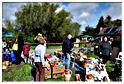 brocante_halleux_2011 (38)