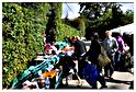 brocante_halleux_2011 (41)