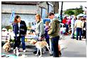 brocante_halleux_2011 (52)