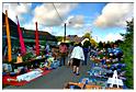 brocante_halleux_2014 (38)