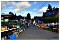 brocante_halleux_2014 (46)