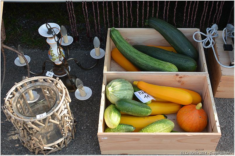 brocante_halleux_2014 (55)