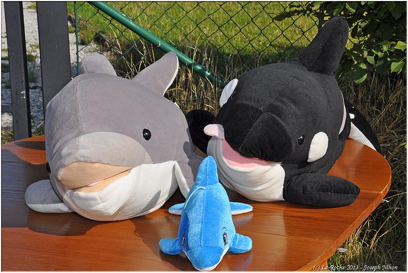 brocante_halleux_2015 (29)