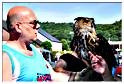 brocante_lr_2014 (99)