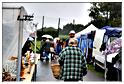 brocante_ortho_2011 (49)