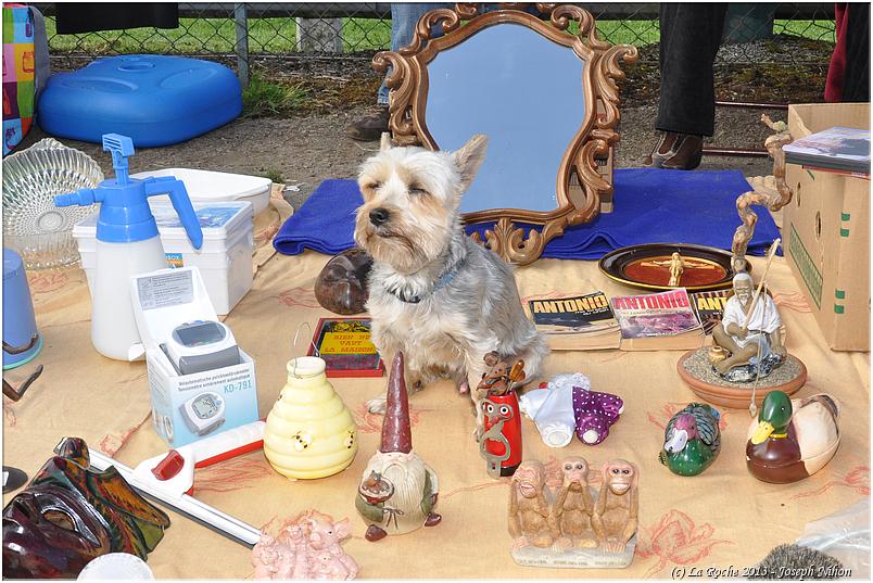 brocante_ortho_2013 (50)