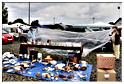 brocante_ortho_2014 (62)