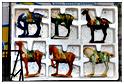 brocante_ortho_2015 (53)