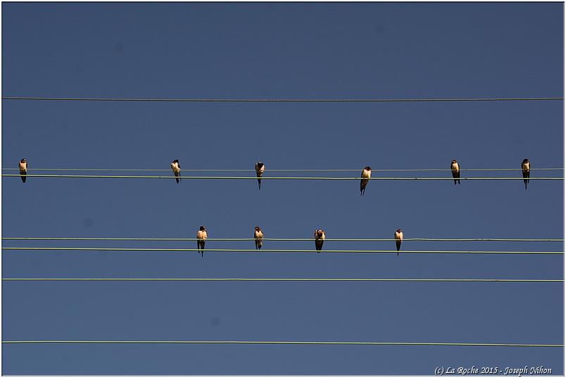 brocante_vecmont_2015 (1)