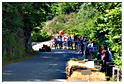 caisses-savon_2014 (58)